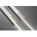 Стрічка GTV COB 12V, 320LED/m, 8mm, 8W/m, 600lm/W, 6500K, 5м Стрічка GTV COB 12V, 320LED/m, 8mm, 8W/m, 600lm/W, 6500K, 5м