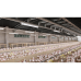 Герметичний led світильник GTV FARM, LED, 50W, 7500Лм, 4000К, AC220-240V, IP65, IK08, PMMA