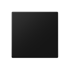Kлавіша одинарна A590SWM матовий чорний графіт