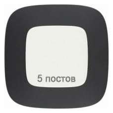 Рамка 5 постів, матовий чорний, Valena 754405 Legrand