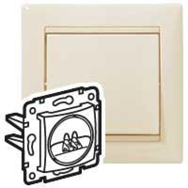 Аудіо розетка, слонова кістка, 774123 Valena Legrand