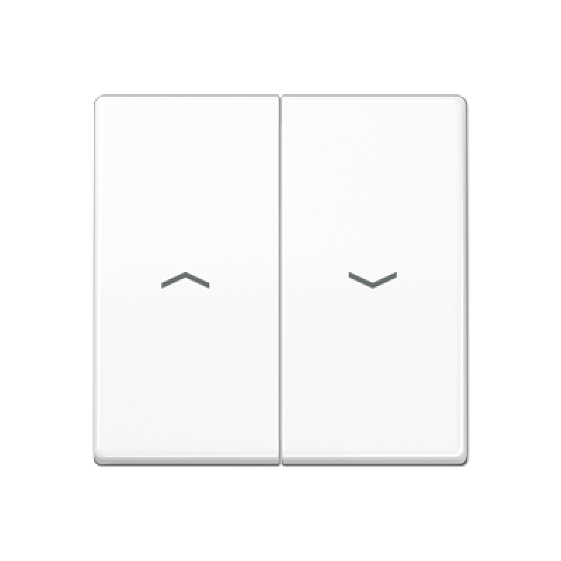 Клавіша з символами AS591-5P AS591-5PWW Клавіша з символами AS591-5P AS591-5PWW