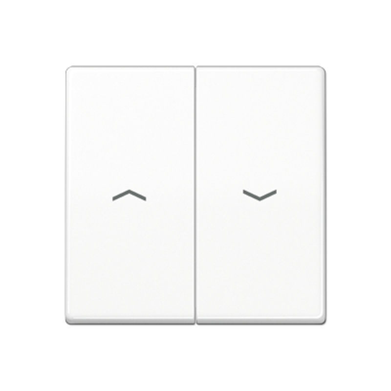 Клавіша з символами AS591-5P ABAS591-5PWW