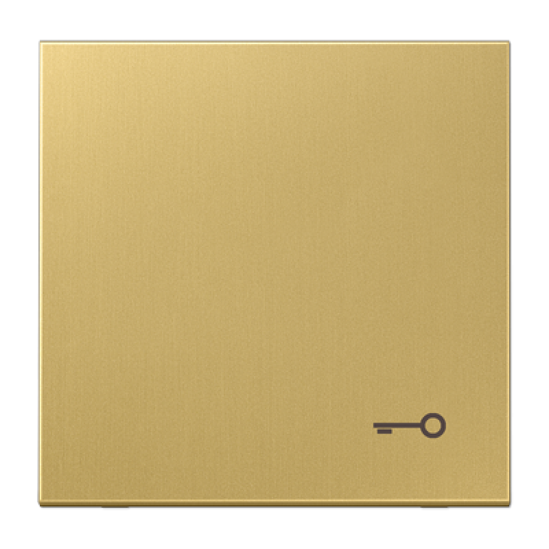 Клавіша із символом «ключ» ME2990TC Клавіша із символом «ключ» ME2990TC