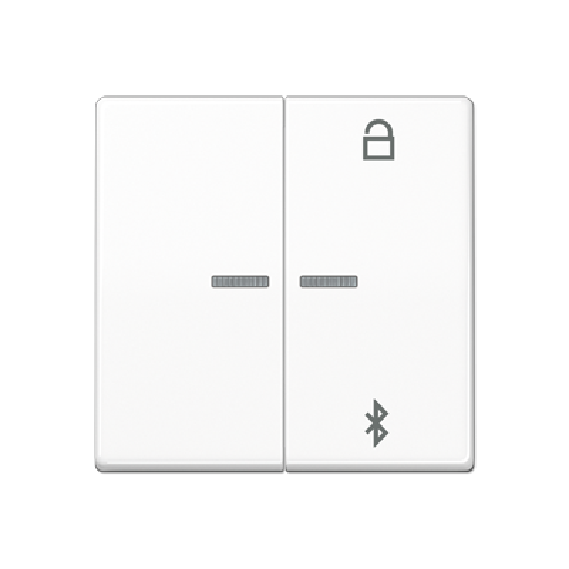 Таймер універсальний Bluetooth AS1751BT AS1751BTWW Таймер універсальний Bluetooth AS1751BT AS1751BTWW