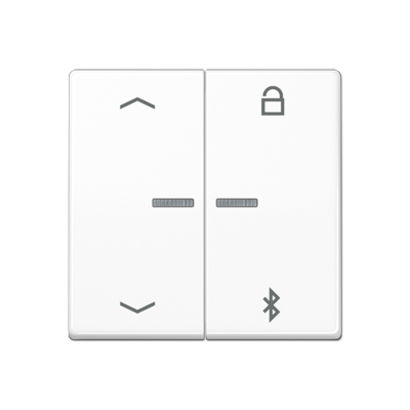 Таймер універсальний Bluetooth «стрілки» AS1751PBT AS1751PBTWW Таймер універсальний Bluetooth «стрілки» AS1751PBT AS1751PBTWW