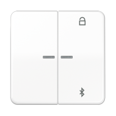 Таймер універсальний Bluetooth CD1751BT CD1751BTWW