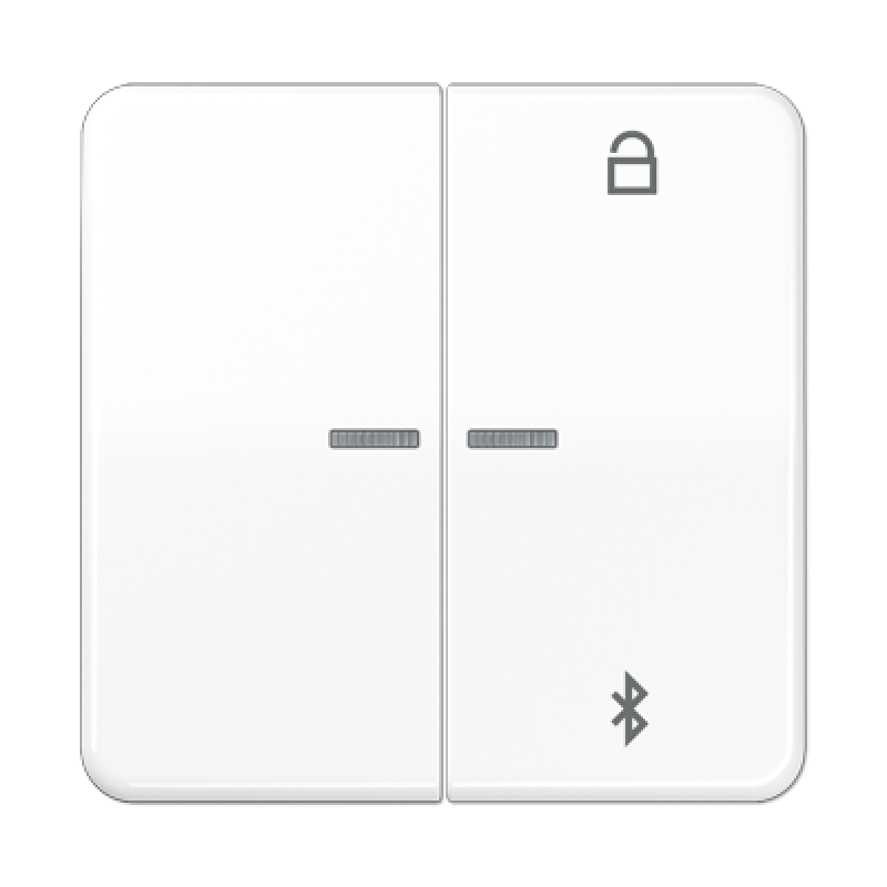 Таймер універсальний Bluetooth CD1751BT CD1751BTWW