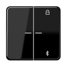 Таймер універсальний Bluetooth CD1751BT CD1751BTSW