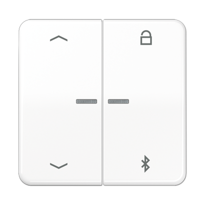 Таймер універсальний Bluetooth «стрілки» CD1751PBT CD1751PBTWW