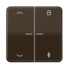 Таймер універсальний Bluetooth «стрілки» CD1751PBT CD1751PBTBR