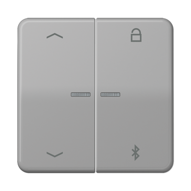 Таймер універсальний Bluetooth «стрілки» CD1751PBT CD1751PBTGR Таймер універсальний Bluetooth «стрілки» CD1751PBT CD1751PBTGR