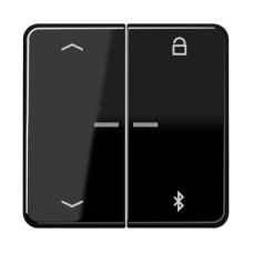 Таймер універсальний Bluetooth «стрілки» CD1751PBT CD1751PBTSW