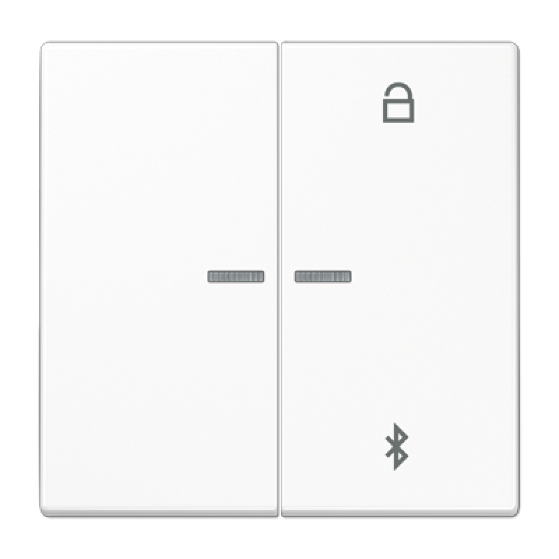 Таймер універсальний Bluetooth LS1751BT LS1751BTWW Таймер універсальний Bluetooth LS1751BT LS1751BTWW