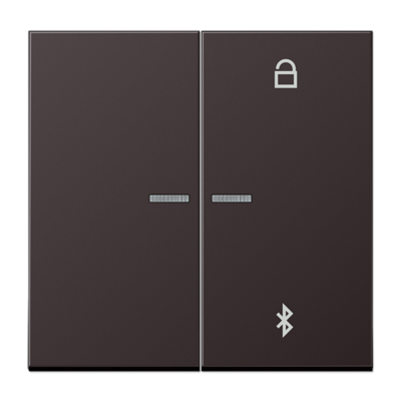 Таймер універсальний Bluetooth LS1751BT AL1751BTD