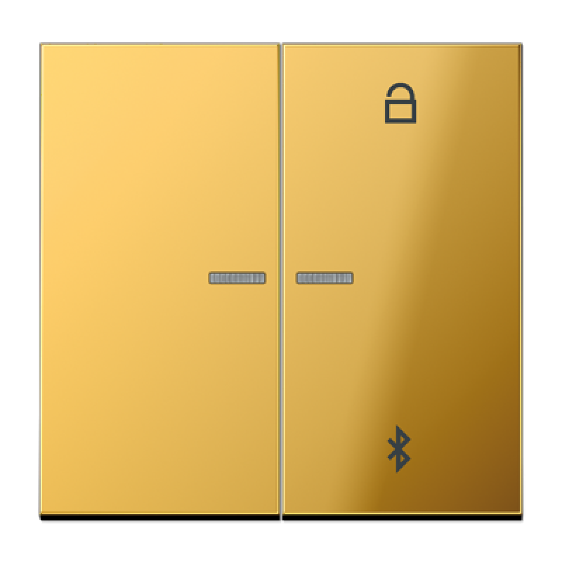 Таймер універсальний Bluetooth LS1751BT GO1751BT