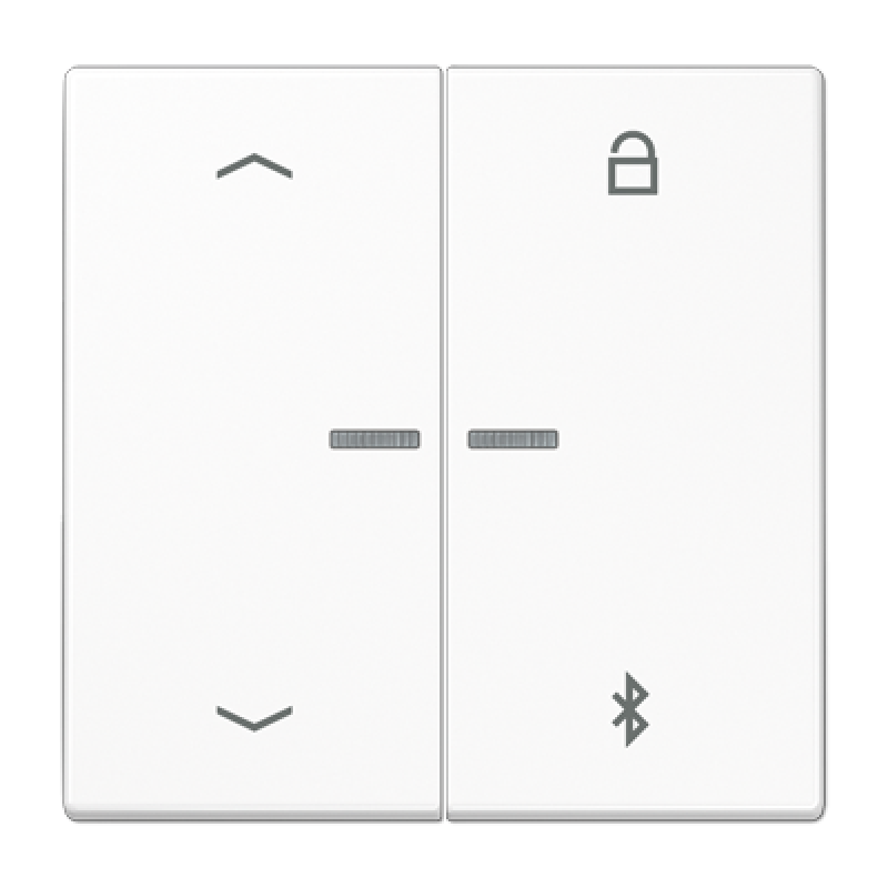 Таймер універсальний Bluetooth «стрілки» LS1751PBT LS1751PBTWW