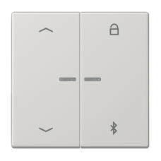 Таймер універсальний Bluetooth «стрілки» LS1751PBT LS1751PBTLG