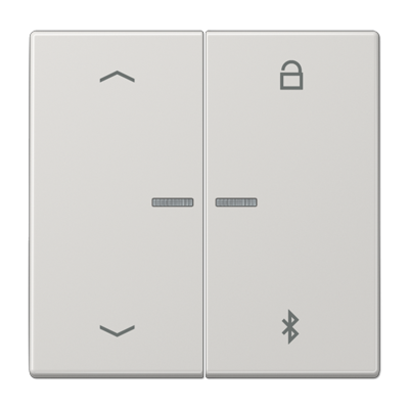 Таймер універсальний Bluetooth «стрілки» LS1751PBT LS1751PBTLG