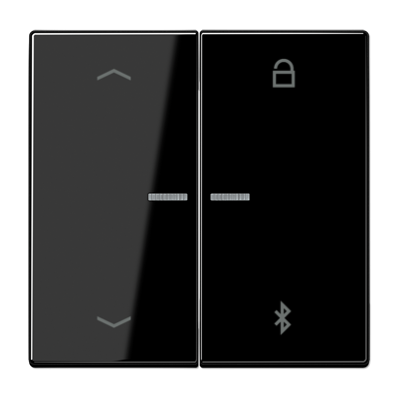 Таймер універсальний Bluetooth «стрілки» LS1751PBT LS1751PBTSW