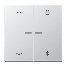 Таймер універсальний Bluetooth «стрілки» LS1751PBT AL1751PBT