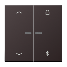 Таймер універсальний Bluetooth «стрілки» LS1751PBT AL1751PBTD