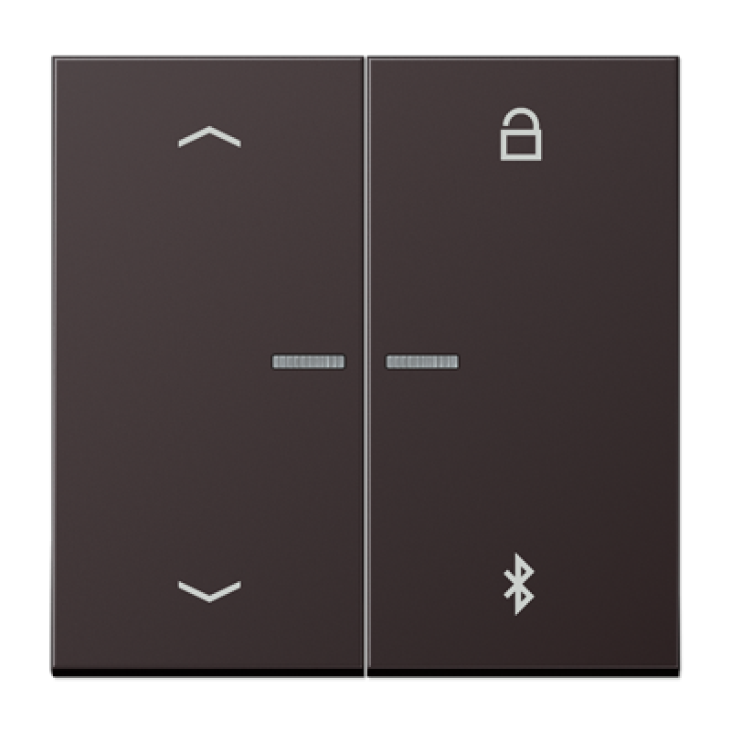 Таймер універсальний Bluetooth «стрілки» LS1751PBT AL1751PBTD