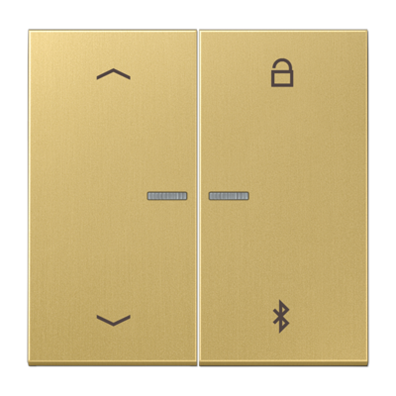 Таймер універсальний Bluetooth «стрілки» LS1751PBT ME1751PBTC