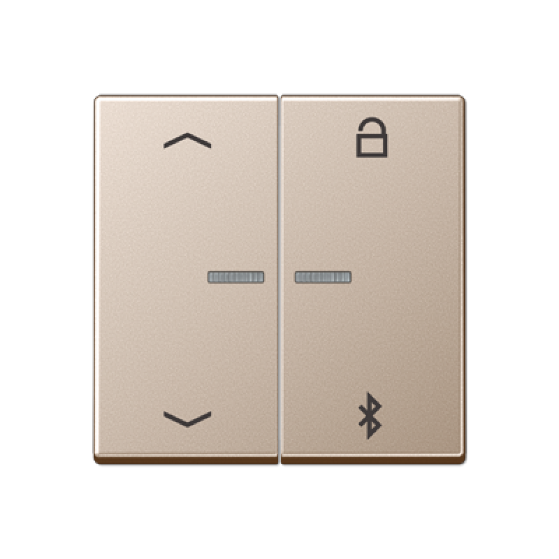 Таймер універсальний Bluetooth «стрілки» A1751PBTWW A1751PBTCH