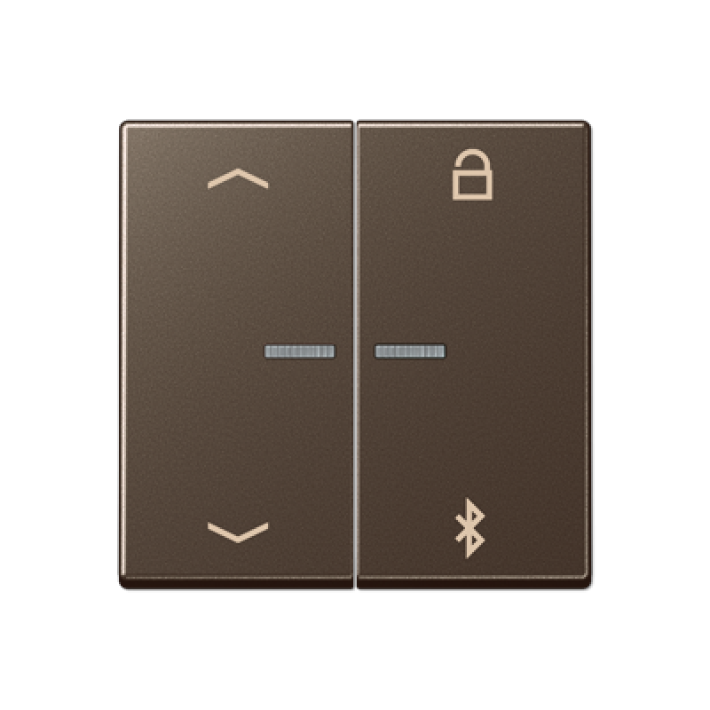 Таймер універсальний Bluetooth «стрілки» A1751PBTWW A1751PBTMO