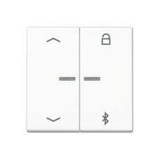 Таймер універсальний Bluetooth «стрілки» A1751PBTWW A1751BFPBTWW