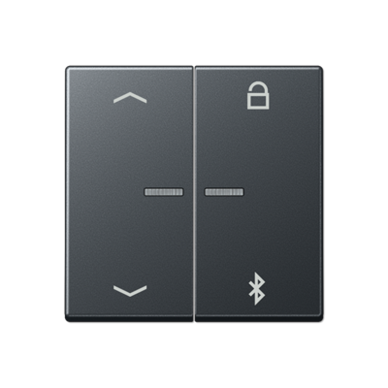 Таймер універсальний Bluetooth «стрілки» A1751PBTSW A1751BFPBTANM Таймер універсальний Bluetooth «стрілки» A1751PBTSW A1751BFPBTANM