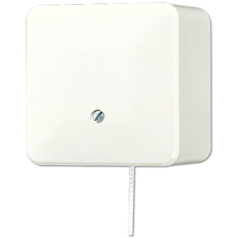 Вимикач зі шнурком (універсальний) 10 A / 250 B ~ 606ZA Вимикач зі шнурком (універсальний) 10 A / 250 B ~ 606ZA