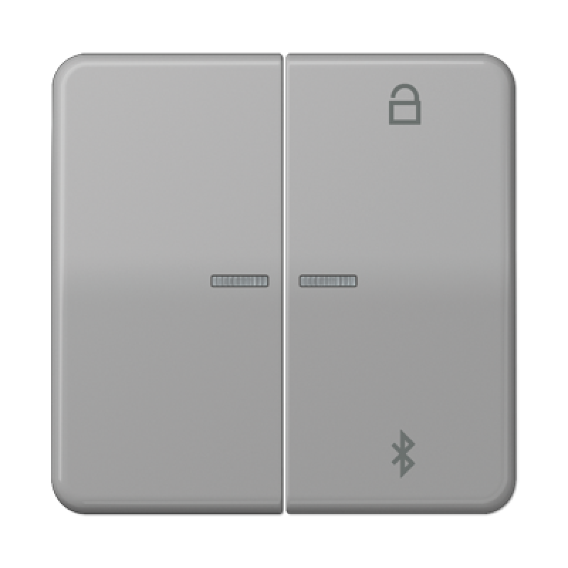 Таймер універсальний Bluetooth CD1751BTBR CD1751BTGR