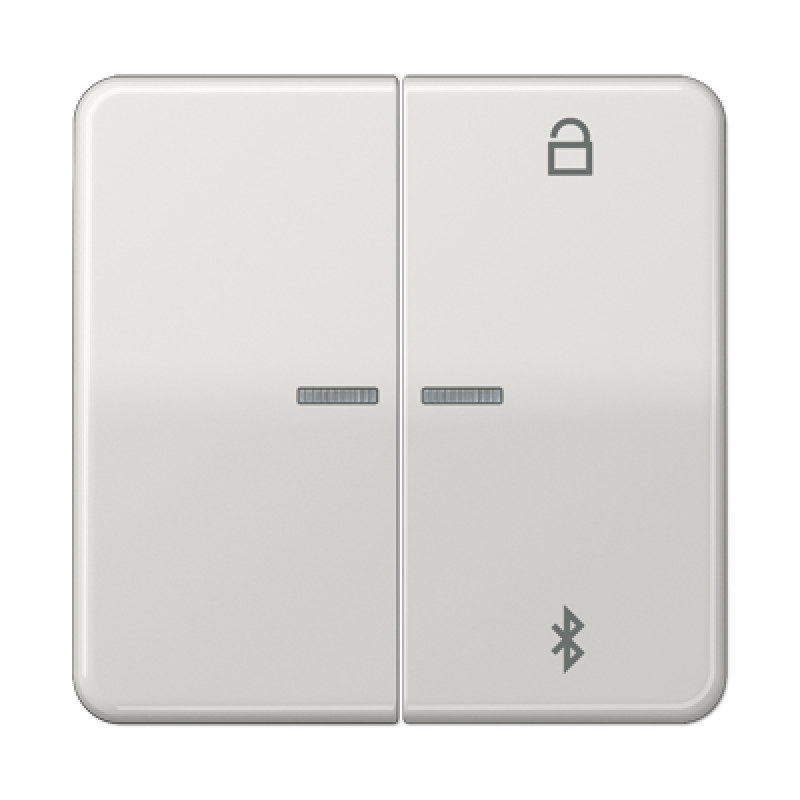 Таймер універсальний Bluetooth CD1751BTBR CD1751BTLG