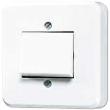 Вимикач одноклавішний 10 AX / 250 B ~ 306A