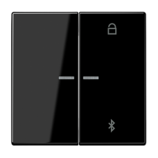 Таймер універсальний Bluetooth LS1751BTLG LS1751BTSW