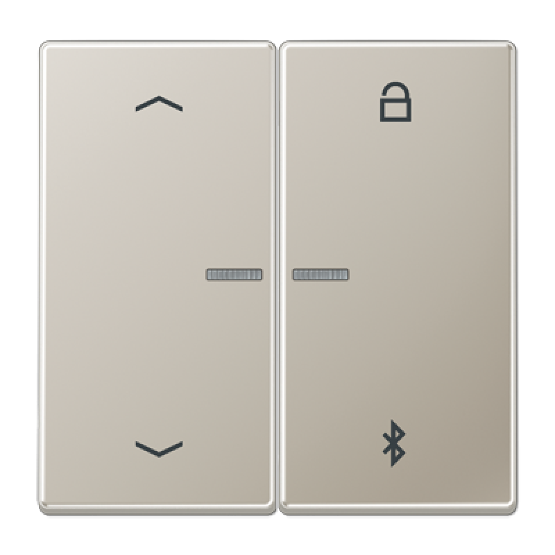 Таймер універсальний Bluetooth «стрілки» AL1751PBT ES1751PBT