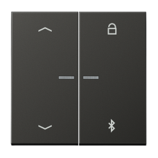 Таймер універсальний Bluetooth «стрілки» AL1751PBT AL1751PBTAN