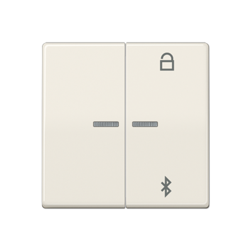 Таймер універсальний Bluetooth AS1751BT