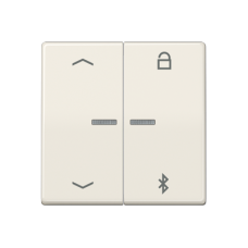 Таймер універсальний Bluetooth «стрілки» AS1751PBT