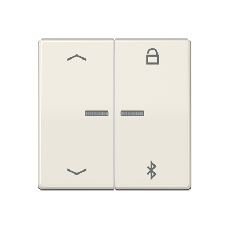 Таймер універсальний Bluetooth «стрілки» AS1751PBT