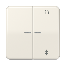 Таймер універсальний Bluetooth CD1751BT