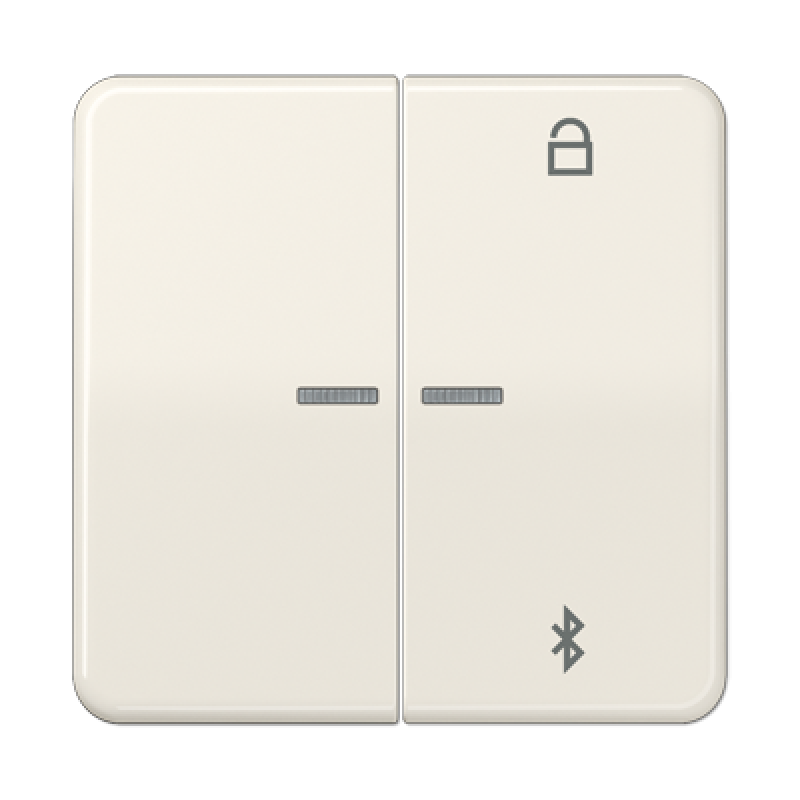 Таймер універсальний Bluetooth CD1751BT