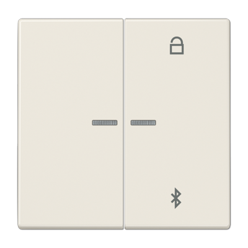 Таймер універсальний Bluetooth LS1751BT