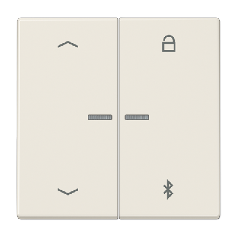 Таймер універсальний Bluetooth «стрілки» LS1751PBT