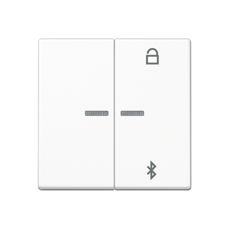 Таймер універсальний Bluetooth A1751BTWW