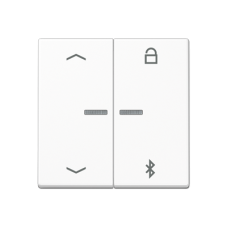 Таймер універсальний Bluetooth «стрілки» A1751PBTWW