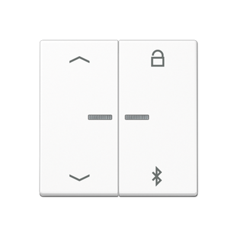 Таймер універсальний Bluetooth «стрілки» A1751PBTWW