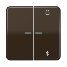 Таймер універсальний Bluetooth CD1751BTBR